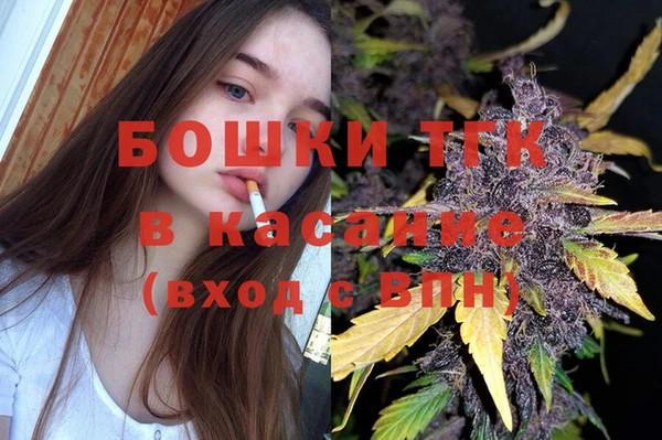 бошки Бронницы